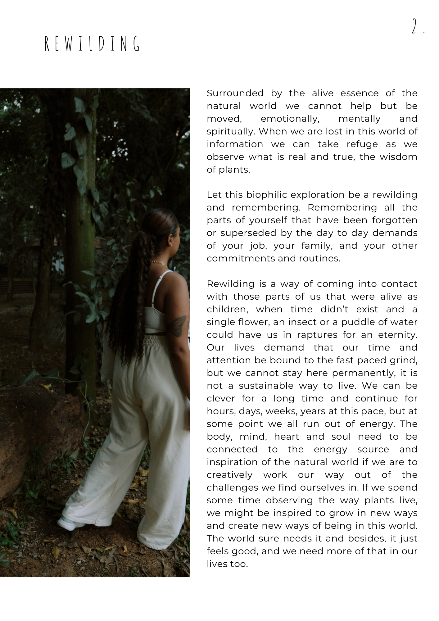 BIOPHILIA | Journal Entries For Belonging