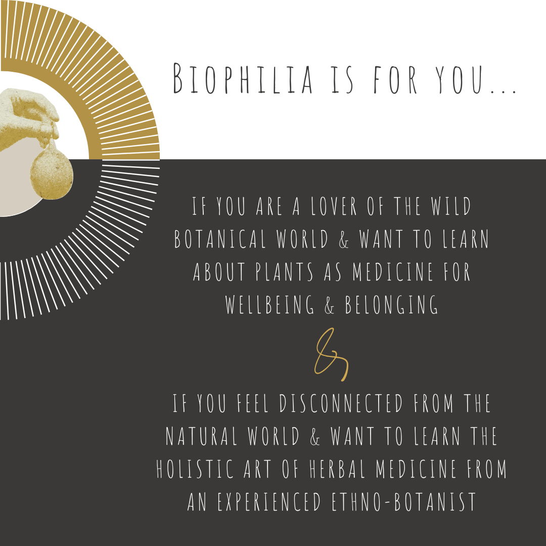 BIOPHILIA | Journal Entries For Belonging