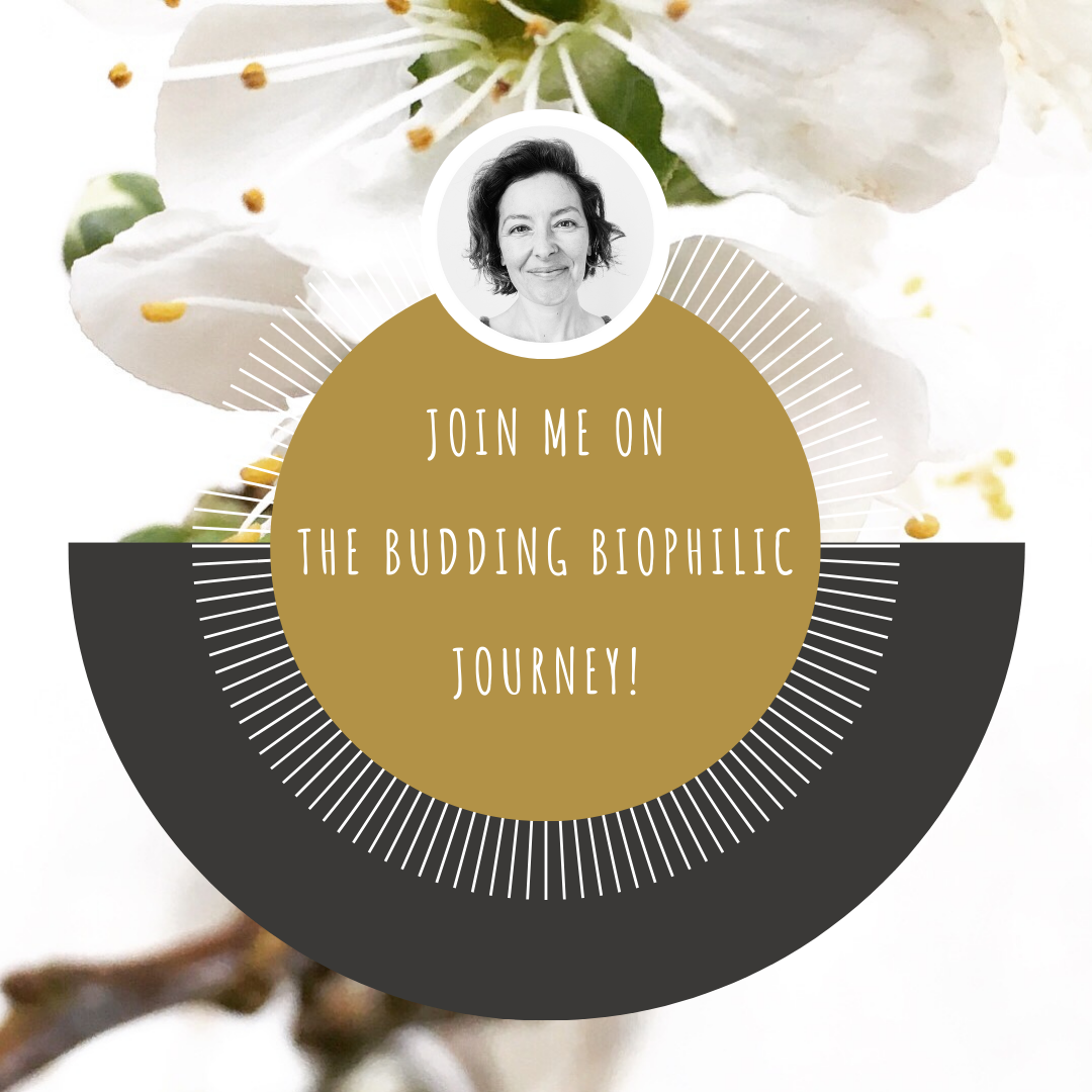 BIOPHILIA | Journal Entries For Belonging