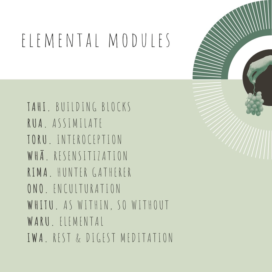 ELEMENTALS | Journal Entries For Nourishing