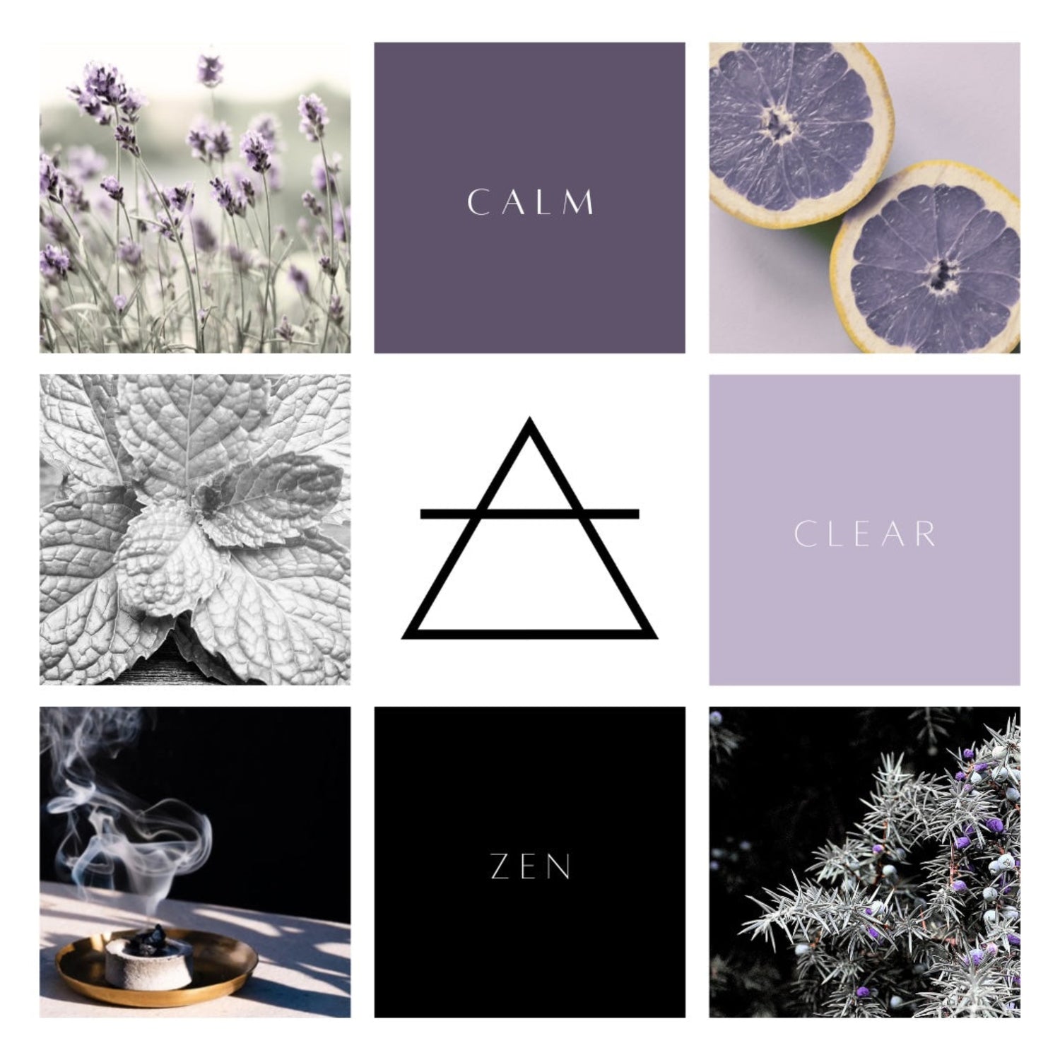 A nine grid collage with images of lavender, grapefruit, spearmint, frankincense and juniper, all in purple hues and the alchemical symbol of air in the centre. 