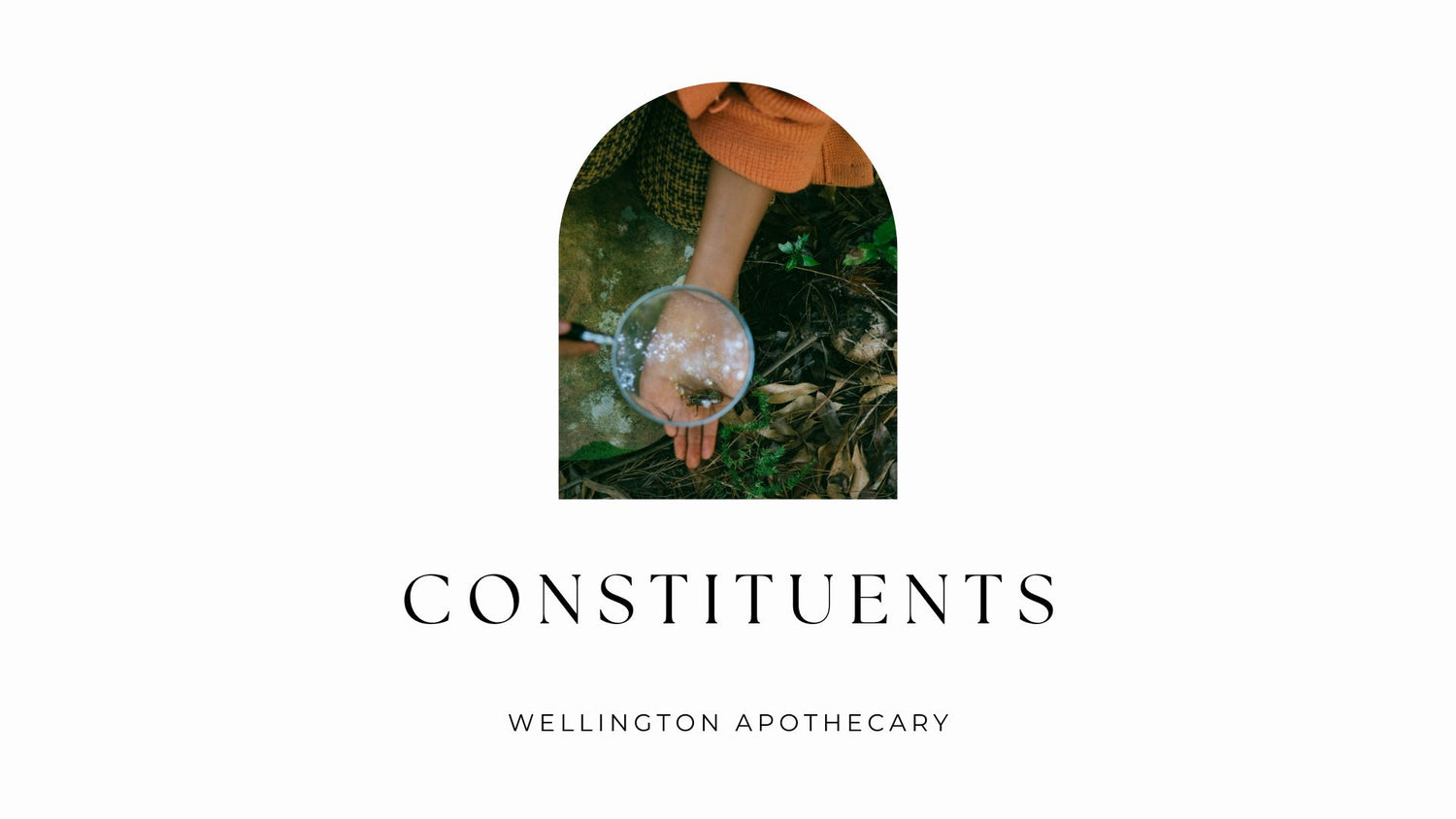 The cover of the Constituents e-book with image of a young person holding a magnifying glass to something found in the forest floor. 