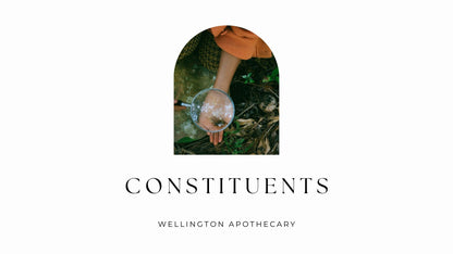 The cover of the Constituents e-book with image of a young person holding a magnifying glass to something found in the forest floor. 