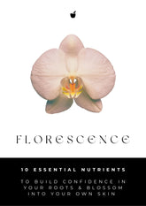 E-book cover titled Florescence with a pink blush orchid on white background.