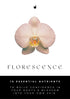 E-book cover titled Florescence with a pink blush orchid on white background.