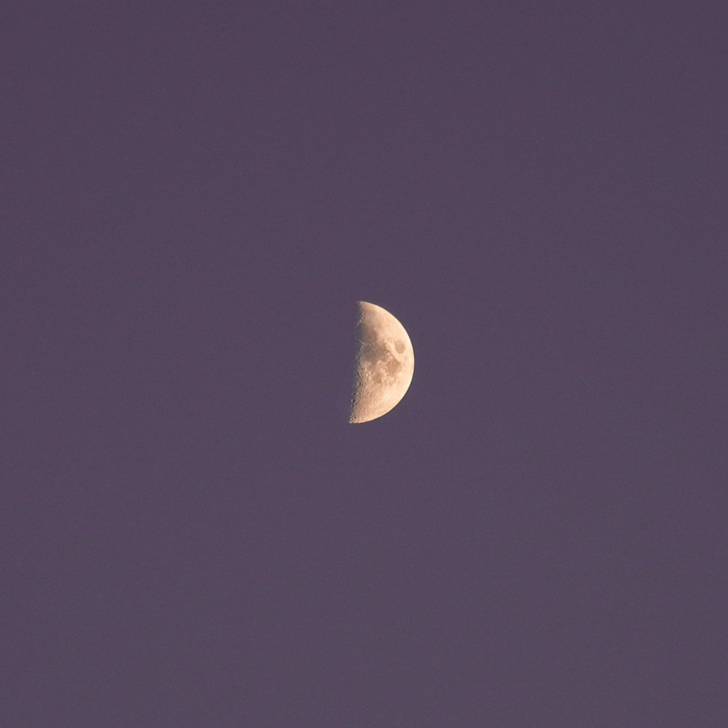 Half moon in the centre of a blue-black night sky.