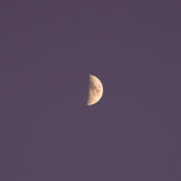 Half moon in the centre of a blue-black night sky.