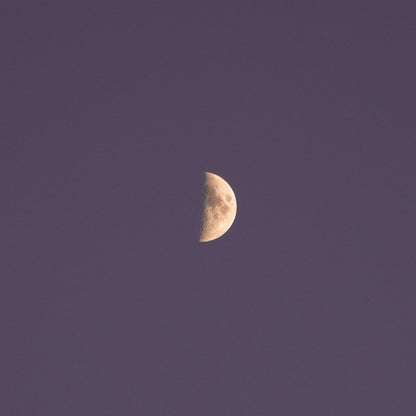 Half moon in the centre of a blue-black night sky.