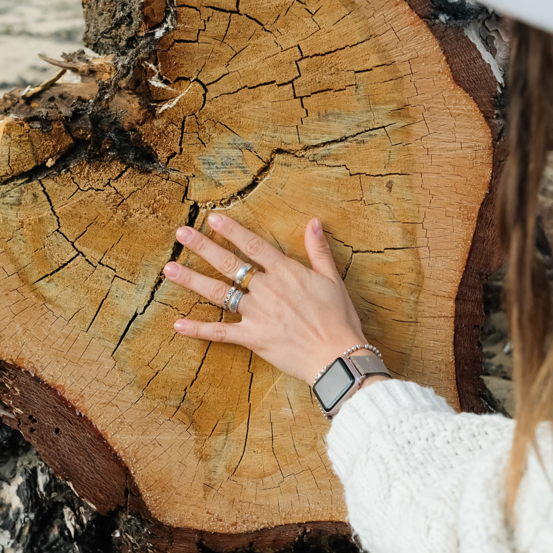 A hand touching the heartwood of a felled tree. 