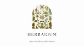 The cover of the Herbarium e-book with an image of non-specific botanical drawings. 