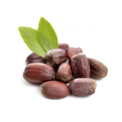 A small bundle of brown jojoba seeds on white surface. 