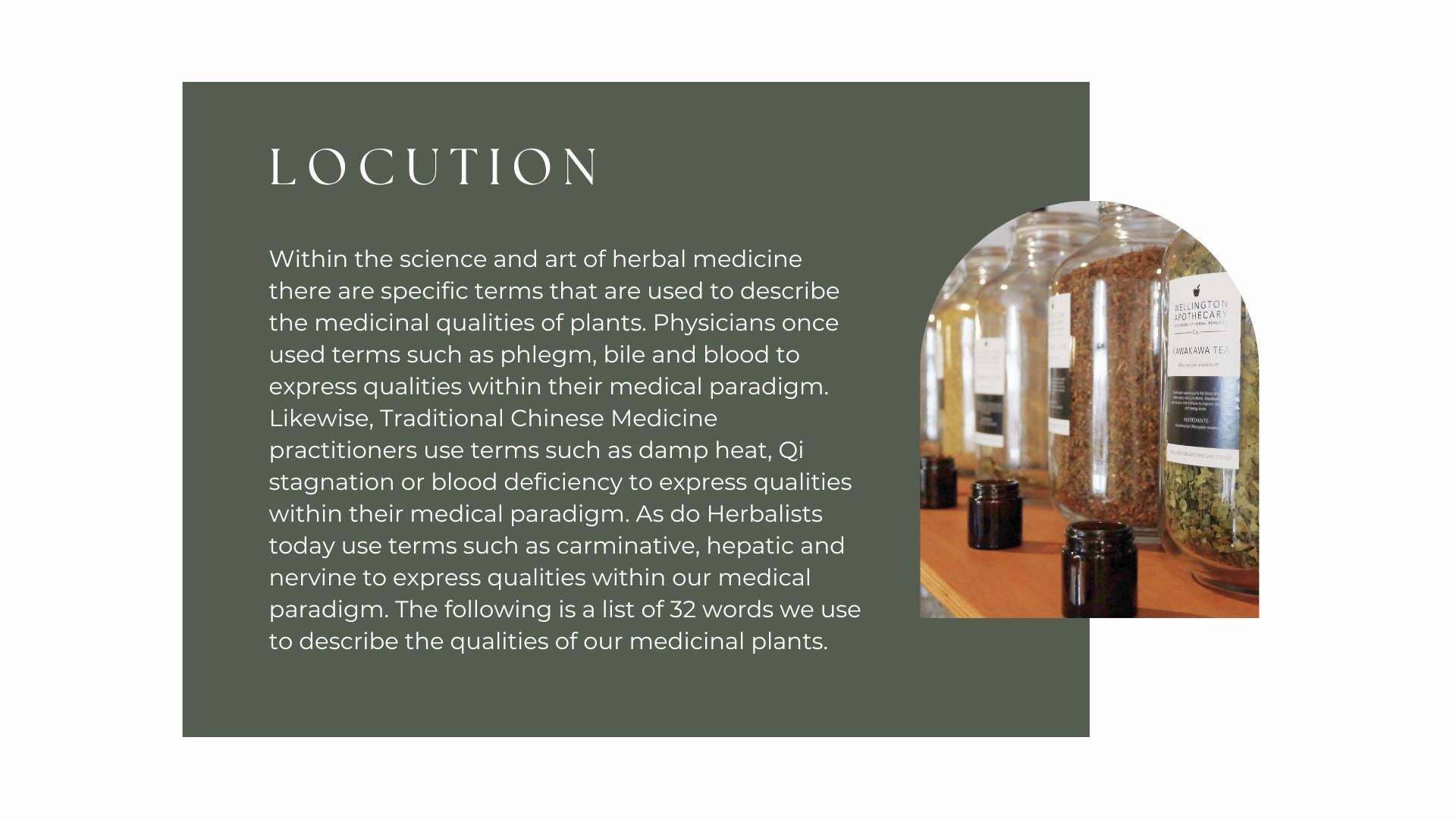 A sample page from the Medicinals e-book about locution - the jargon used in herbal medicine. 