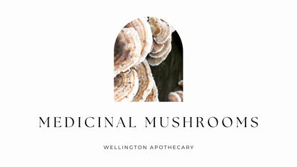 The cover of a medicinal mushrooms e-book with an image of turkey tail mushrooms. 