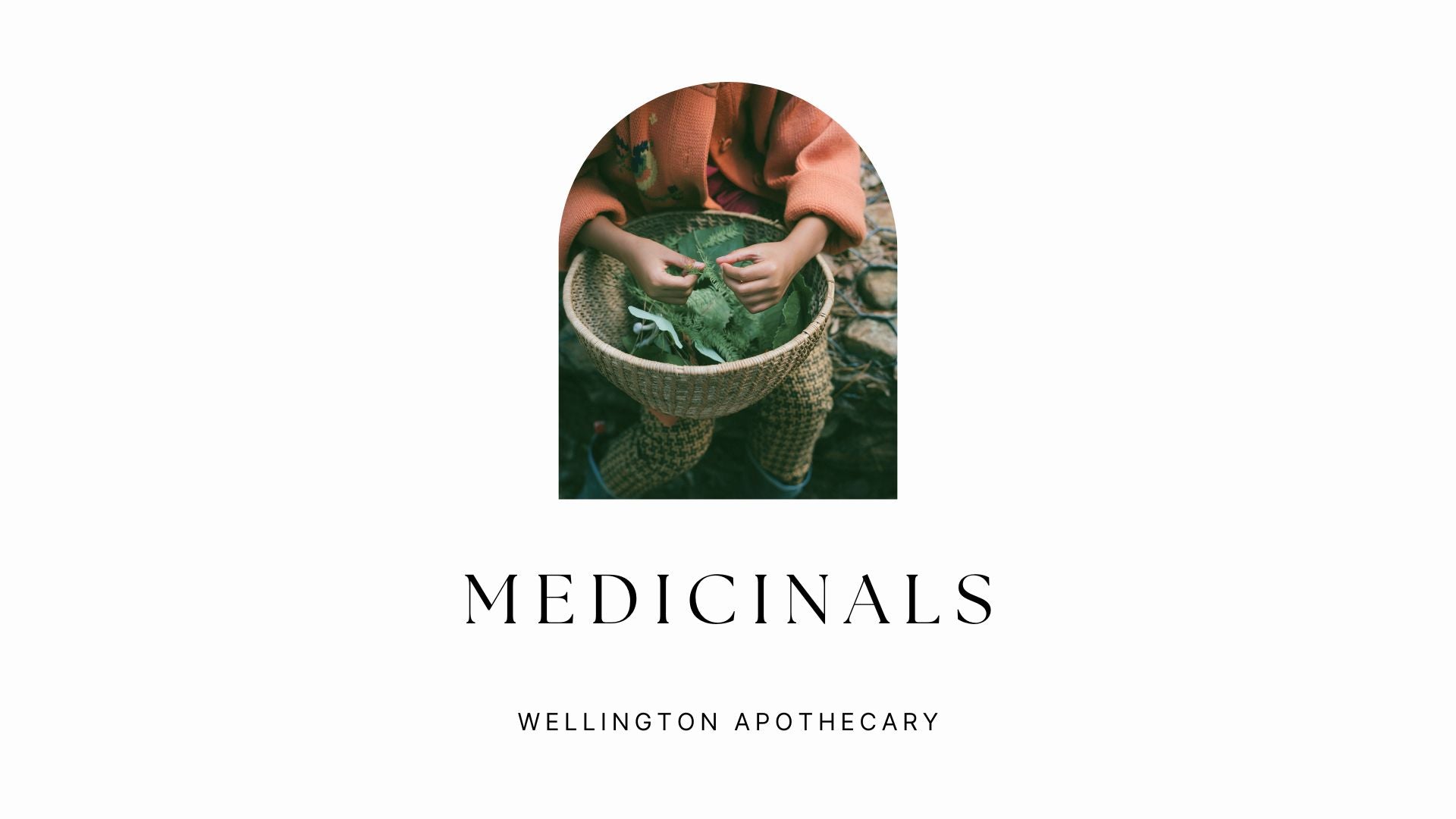 The cover of Medicinals e-book with image of young person holding a basket of foraged herbs.