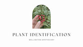 The cover of the Plant Identification e-book with an image of Hawthorn berries. 