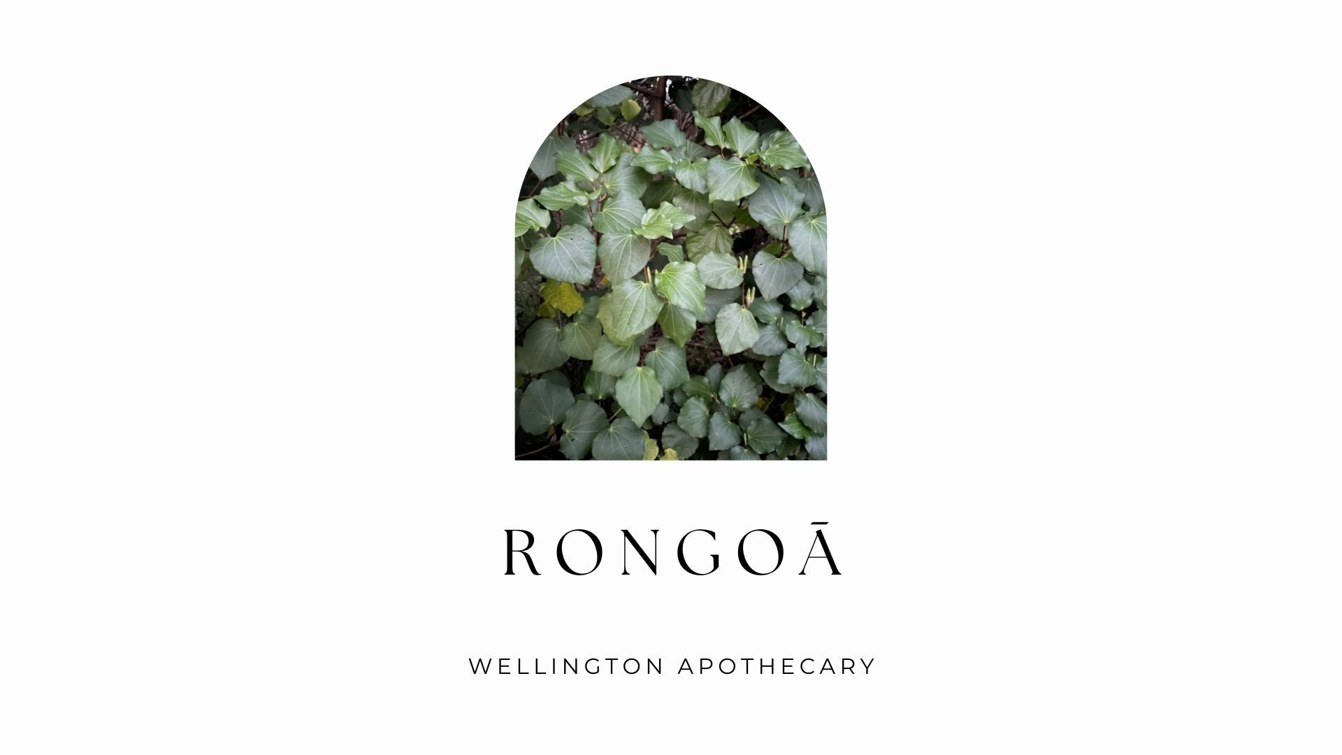 Cover of Rongoā ebook with an image of Kawakawa.