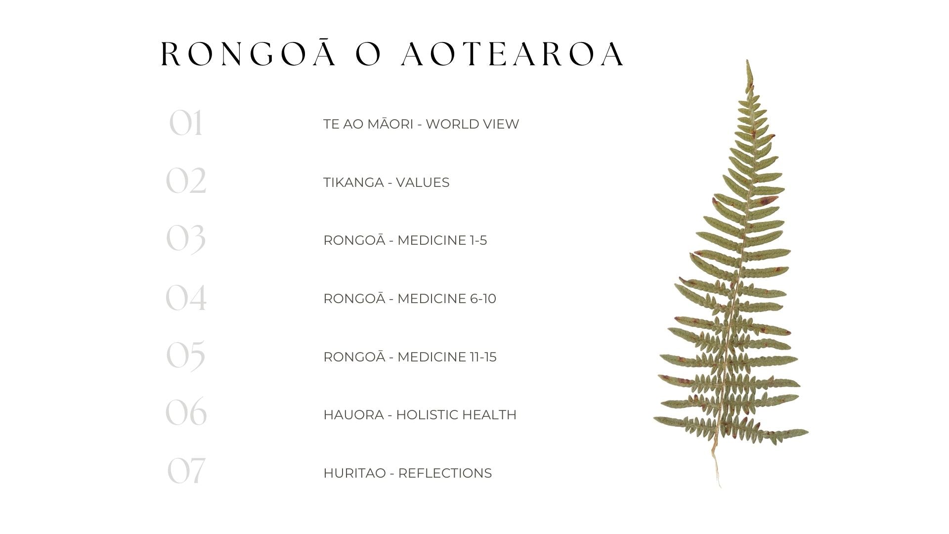 Content page of Rongoā e-book including - world view, values, medicinal herbs, holistic health and reflections.