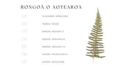 Content page of Rongoā e-book including - world view, values, medicinal herbs, holistic health and reflections.