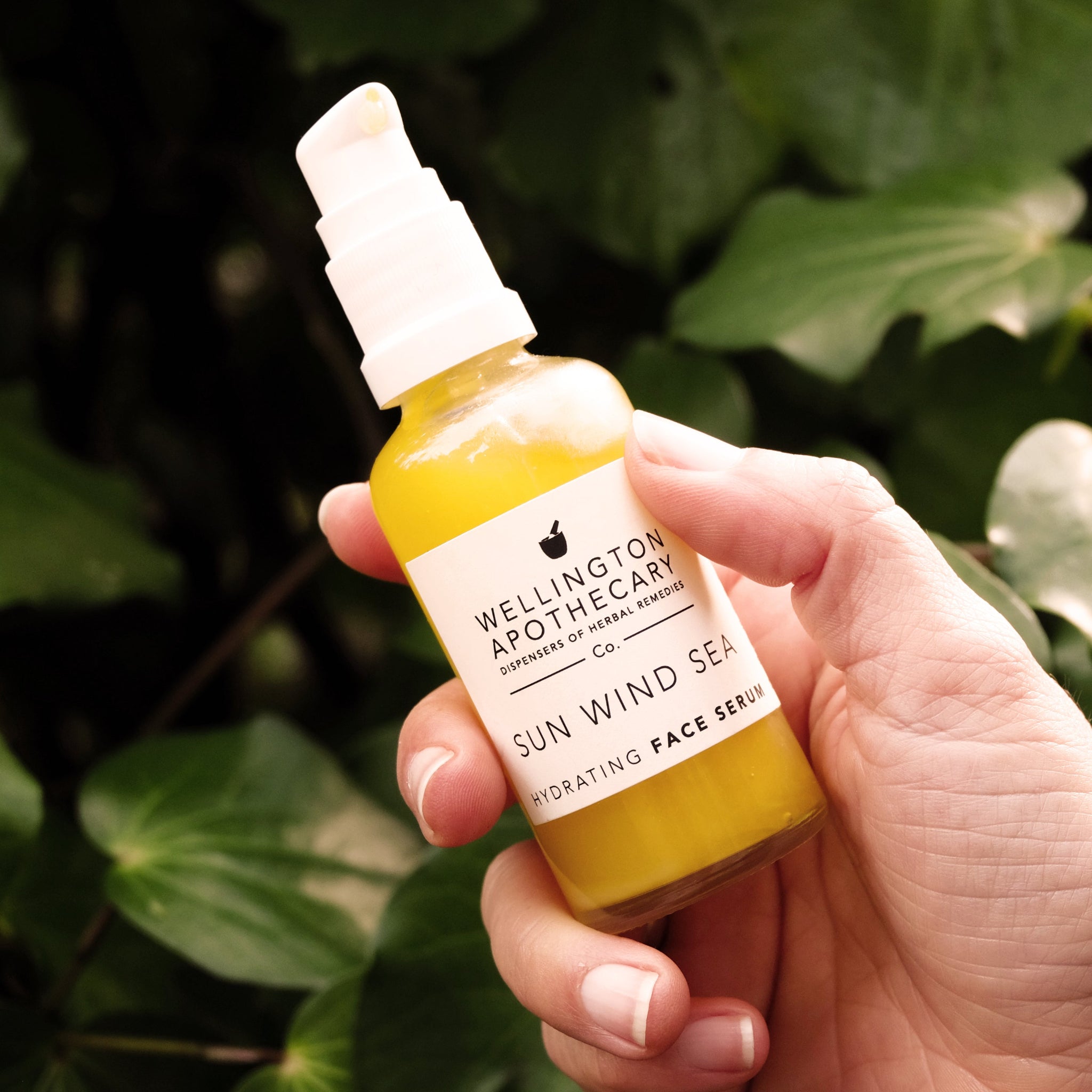 A hand holding glass bottle containing bright yellow serum with Kawakawa bush  backdrop. 