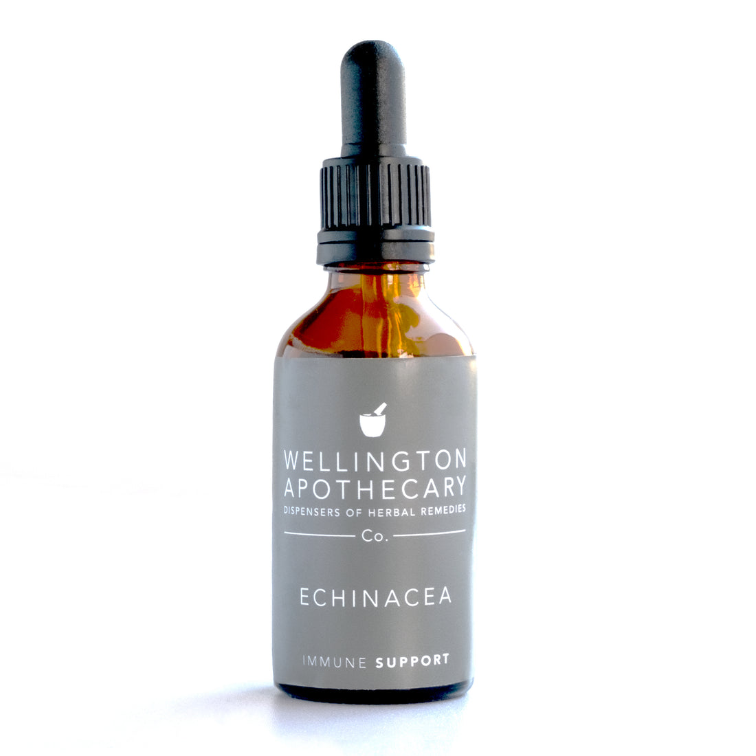 Echinacea Simple Tonic