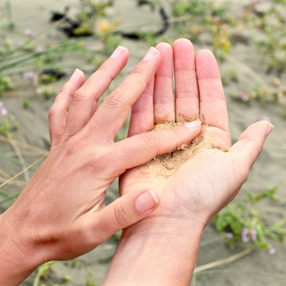 Sandalwood exfoliant powder in the palm of a hand being mixed with water by the other hand. Sandy beach background. 