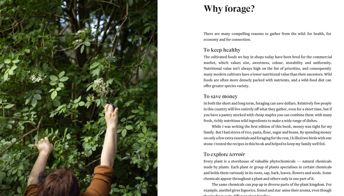 A sample page from The Foragers Treasury about the benefits of foraging. 