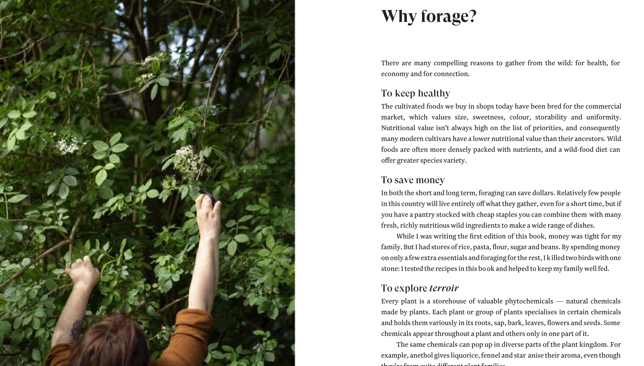 A sample page from The Foragers Treasury about the benefits of foraging. 